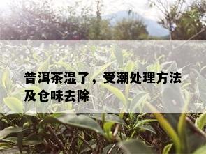 普洱茶湿了，受潮处理方法及仓味去除