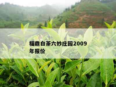 福鼎白茶六妙庄园2009年报价