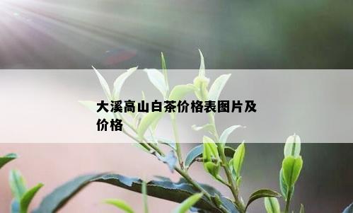 大溪高山白茶价格表图片及价格