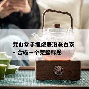 梵山堂手捏烧壶泡老白茶 - 合成一个完整标题