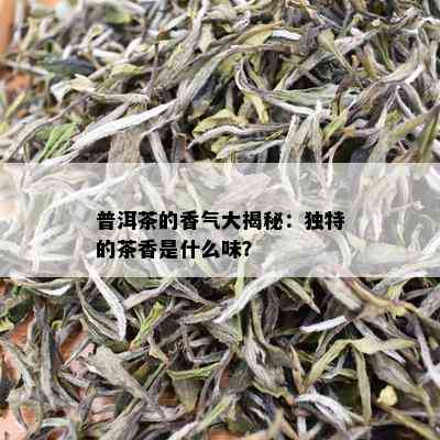 普洱茶的香气大揭秘：独特的茶香是什么味？