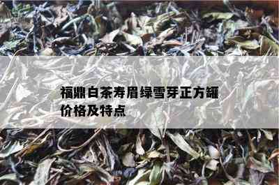 福鼎白茶寿眉绿雪芽正方罐价格及特点