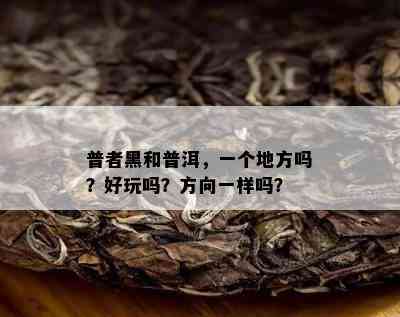 普者黑和普洱，一个地方吗？好玩吗？方向一样吗？