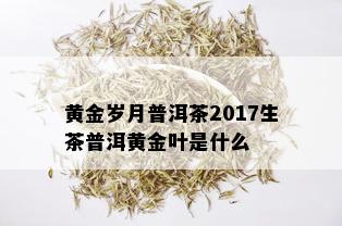 黄金岁月普洱茶2017生茶普洱黄金叶是什么