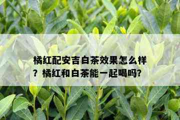 橘红配安吉白茶效果怎么样？橘红和白茶能一起喝吗？