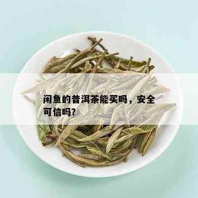 闲鱼的普洱茶能买吗，安全可信吗？