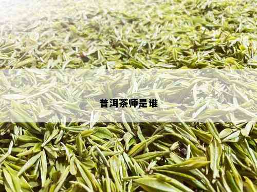 普洱茶师是谁