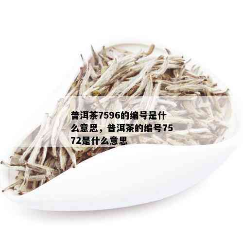 普洱茶7596的编号是什么意思，普洱茶的编号7572是什么意思