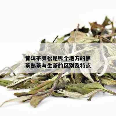 普洱茶曼松是哪个地方的黑茶熟茶与生茶的区别及特点