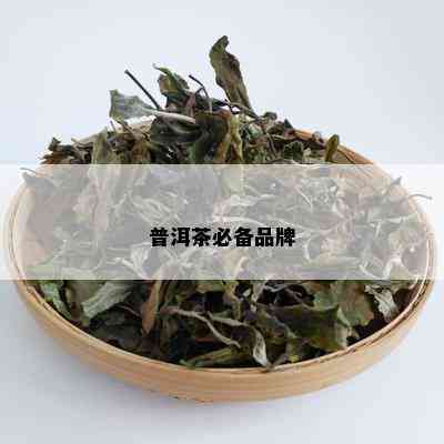 普洱茶必备品牌