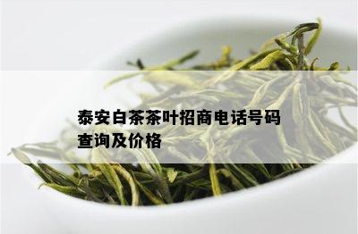 泰安白茶茶叶招商电话号码查询及价格