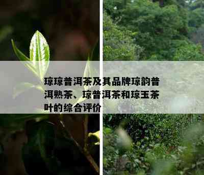 琼琼普洱茶及其品牌琼韵普洱熟茶、琼普洱茶和琼玉茶叶的综合评价