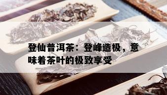 登仙普洱茶：登峰造极，意味着茶叶的极致享受