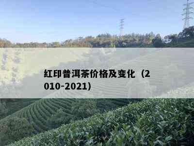 红印普洱茶价格及变化（2010-2021）