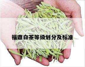 福鼎白茶等级划分及标准