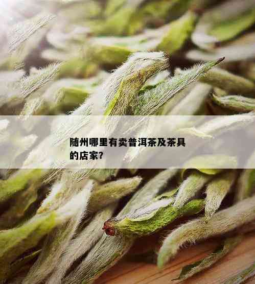 随州哪里有卖普洱茶及茶具的店家？