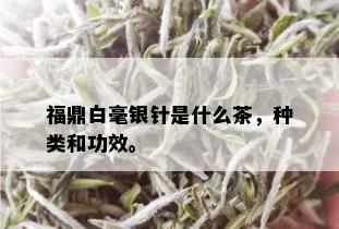 福鼎白毫银针是什么茶，种类和功效。