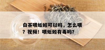 白茶喂蚯蚓可以吗，怎么喂？视频！喂蚯蚓有吗？