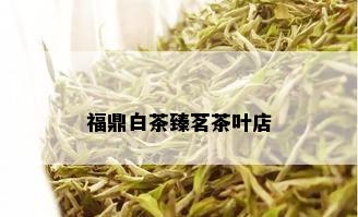 福鼎白茶臻茗茶叶店