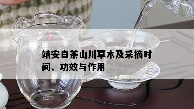 靖安白茶山川草木及采摘时间、功效与作用