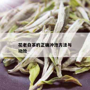 花老白茶的正确冲泡方法与功效