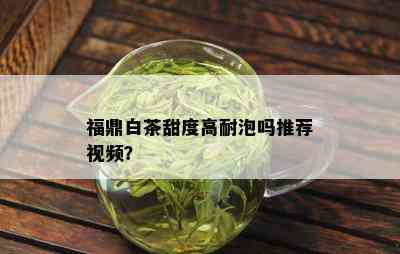 福鼎白茶甜度高耐泡吗推荐视频？