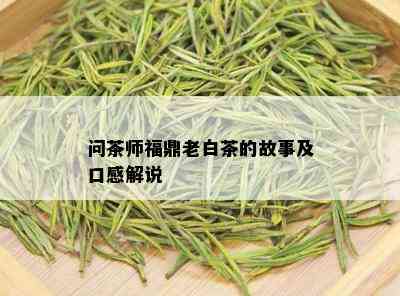 问茶师福鼎老白茶的故事及口感解说