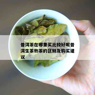 普洱茶在哪里买比较好呢普洱生茶熟茶的区别及购买建议