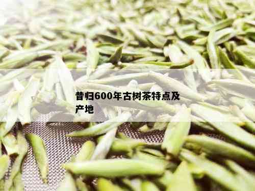 昔归600年古树茶特点及产地