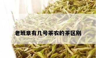 老班章有几号茶农的茶区别