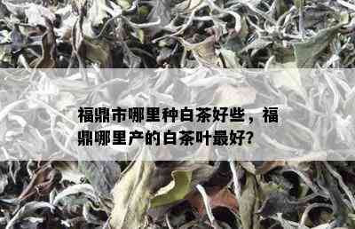 福鼎市哪里种白茶好些，福鼎哪里产的白茶叶更好？