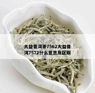 大益普洱茶7562大益普洱7572什么意思及区别