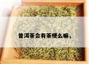 普洱茶会有茶梗么嘛，