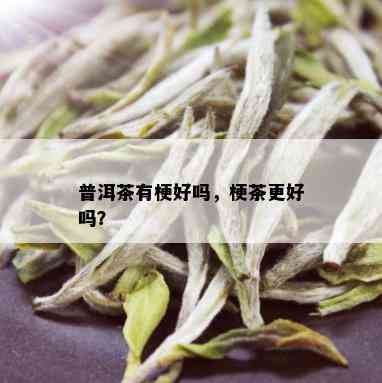 普洱茶有梗好吗，梗茶更好吗？