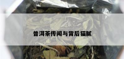 普洱茶传闻与背后猫腻