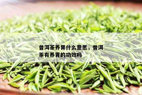 普洱茶养胃什么意思，普洱茶有养胃的功效吗