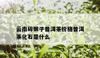 云南碎银子普洱茶价格普洱茶化石是什么