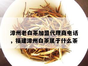 漳州老白茶加盟代理商电话，福建漳州白茶属于什么茶