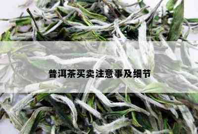 普洱茶买卖注意事及细节