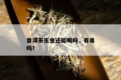 普洱茶生虫还能喝吗，有吗？