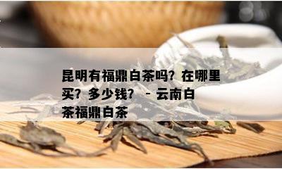 昆明有福鼎白茶吗？在哪里买？多少钱？ - 云南白茶福鼎白茶