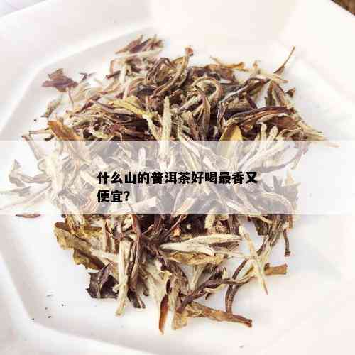 什么山的普洱茶好喝最香又便宜？