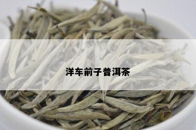 洋车前子普洱茶