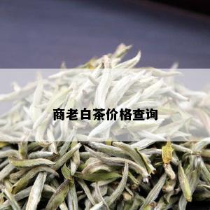 商老白茶价格查询