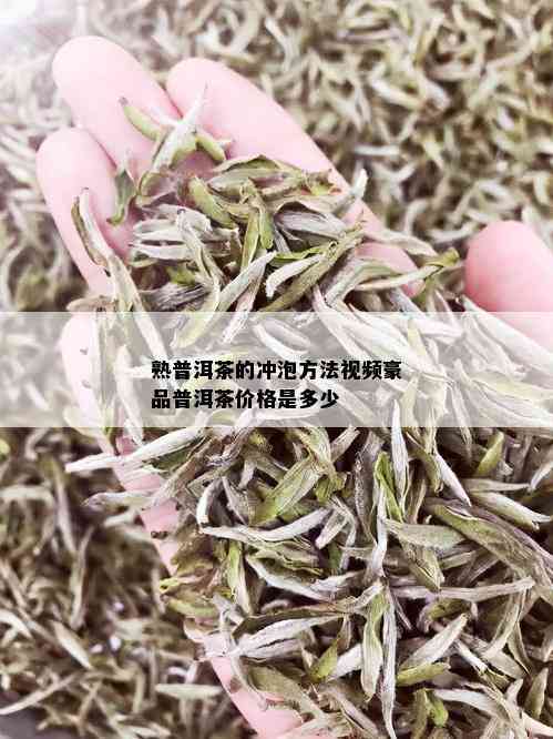 熟普洱茶的冲泡方法视频豪品普洱茶价格是多少