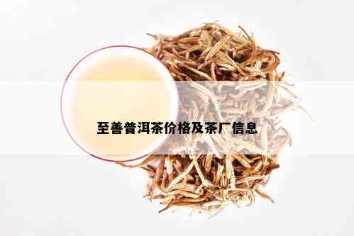 至善普洱茶价格及茶厂信息