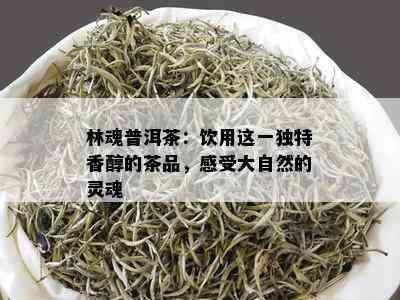 林魂普洱茶：饮用这一独特香醇的茶品，感受大自然的灵魂