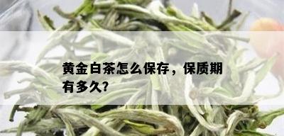 黄金白茶怎么保存，保质期有多久？