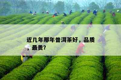 近几年那年普洱茶好，品质，最贵？