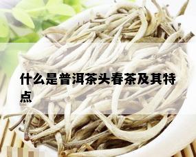 什么是普洱茶头春茶及其特点